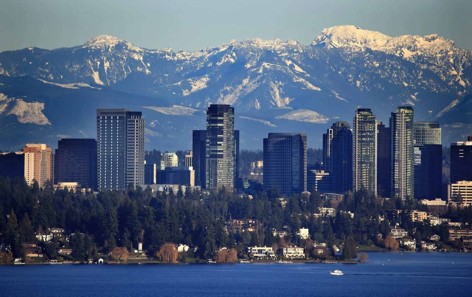 We make moving stress-free, simple, and fast for families and businesses across Bellevue, WA