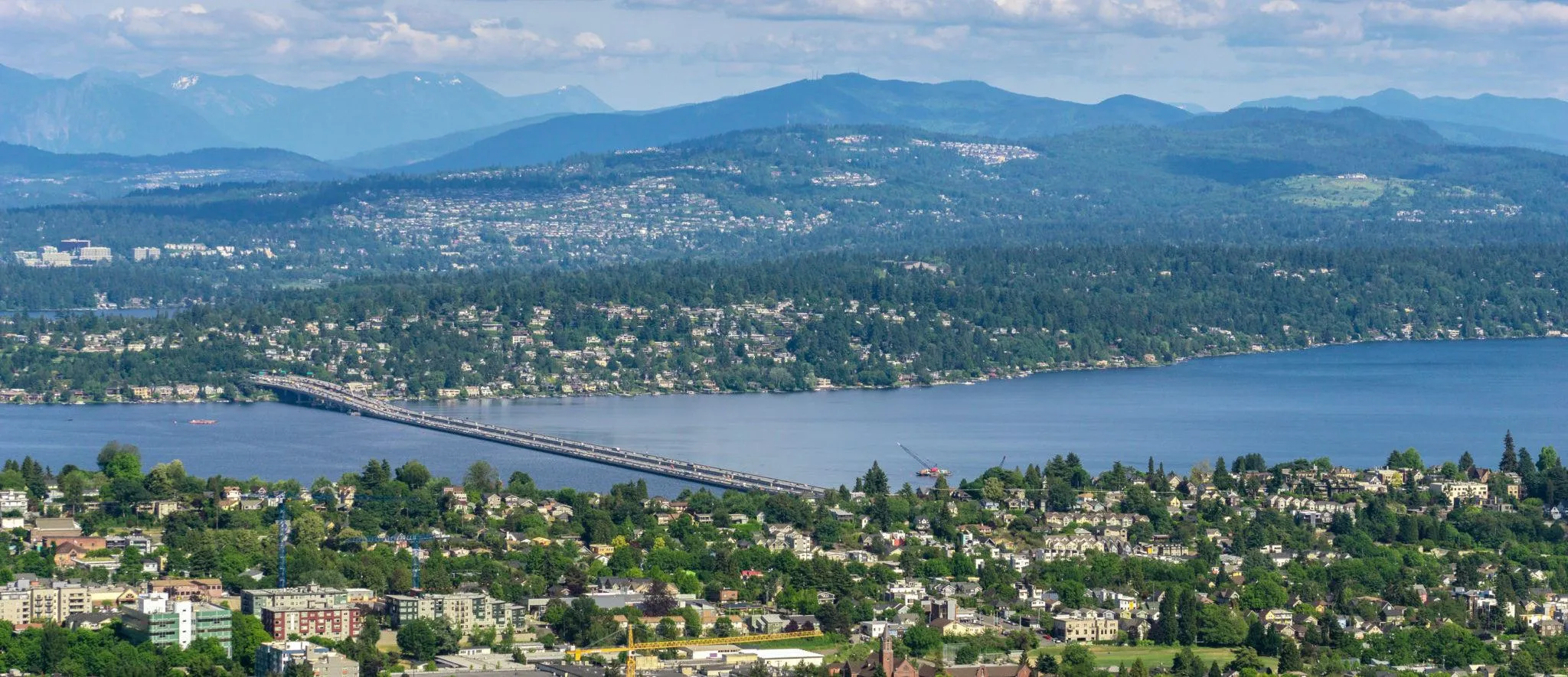 Making moves stress-free, simple, and fast for families and businesses across Lacey, WA